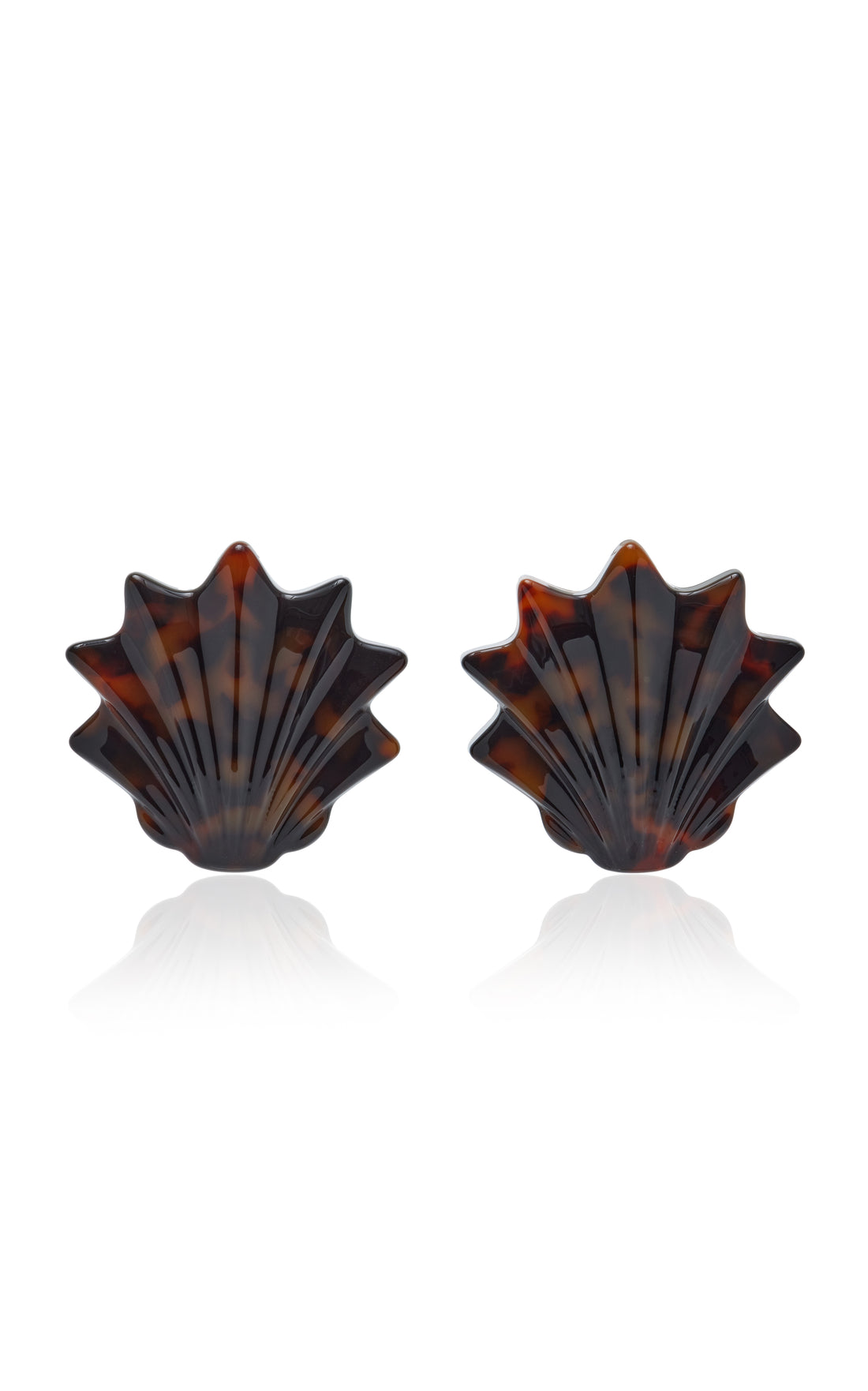 Shell Earrings