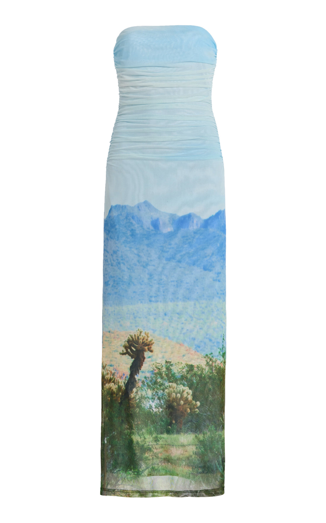 Sura Strapless Printed Mesh Maxi Dress