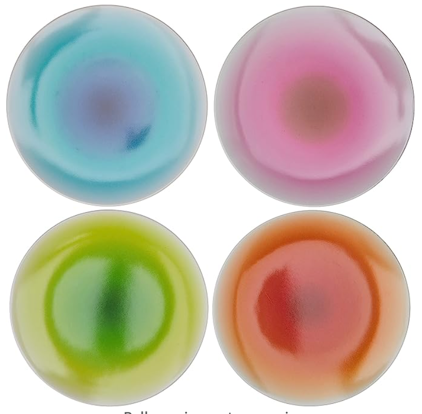 Colorful Dinner Plates - Set of 4